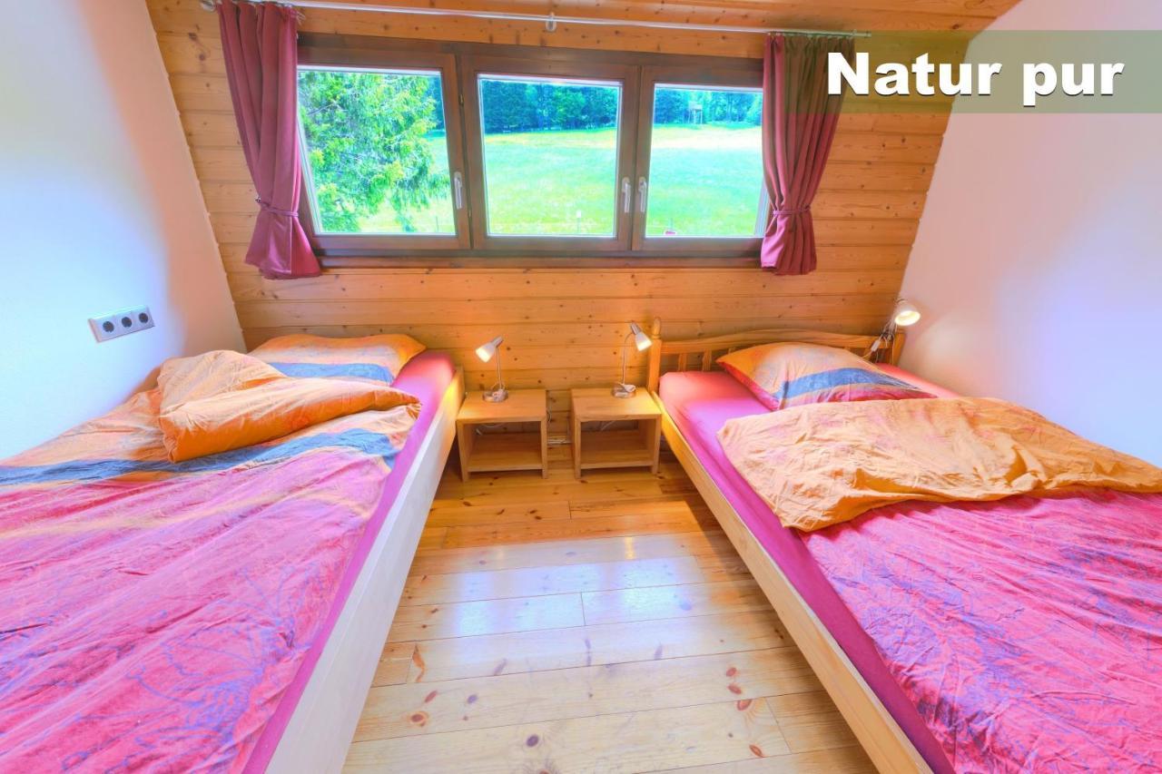 Wohlfuehl-Ferienwohnung 80 Qm, 8 Personen, Aussicht & Heimkino Todtnau Εξωτερικό φωτογραφία