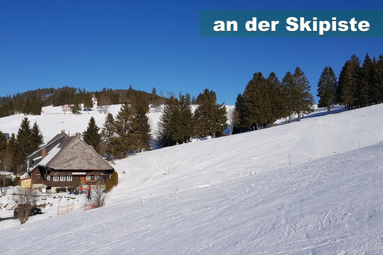 Wohlfuehl-Ferienwohnung 80 Qm, 8 Personen, Aussicht & Heimkino Todtnau Εξωτερικό φωτογραφία