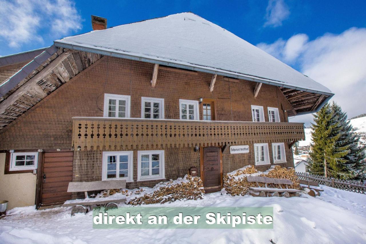 Wohlfuehl-Ferienwohnung 80 Qm, 8 Personen, Aussicht & Heimkino Todtnau Εξωτερικό φωτογραφία