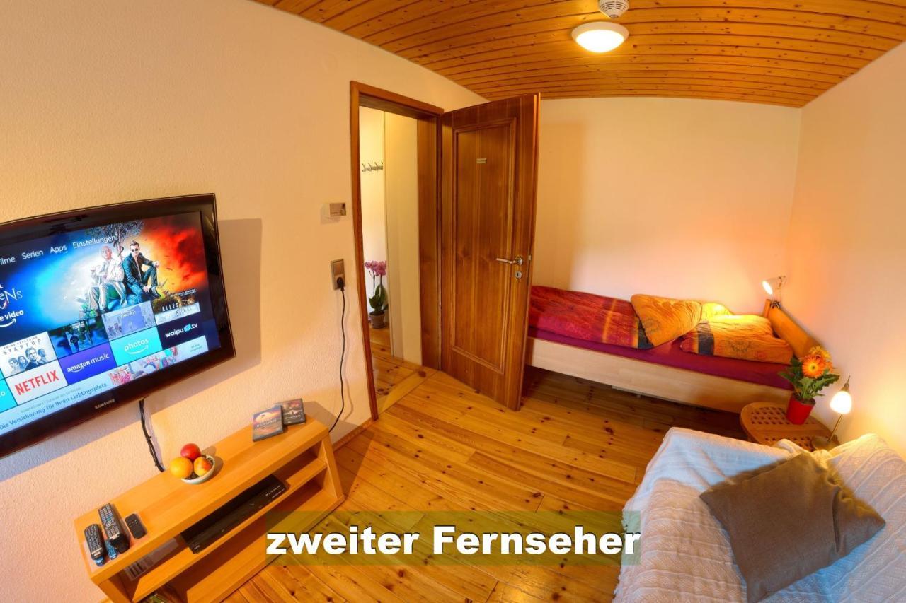 Wohlfuehl-Ferienwohnung 80 Qm, 8 Personen, Aussicht & Heimkino Todtnau Εξωτερικό φωτογραφία